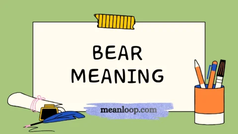 bear meaning