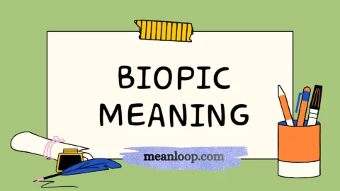 biopic meaning