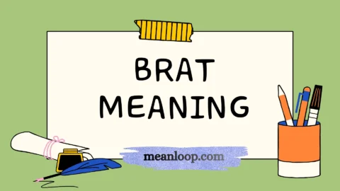 brat meaning