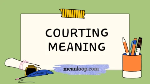 courting meaning