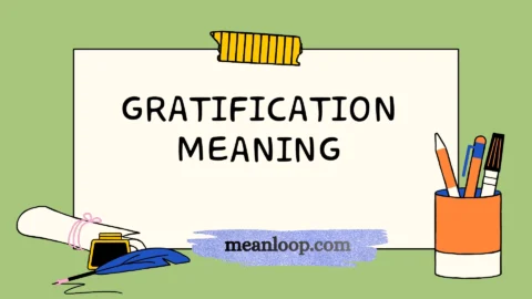 gratification meaning