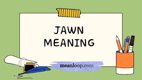 jawn meaning