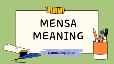mensa meaning