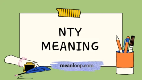 nty meaning