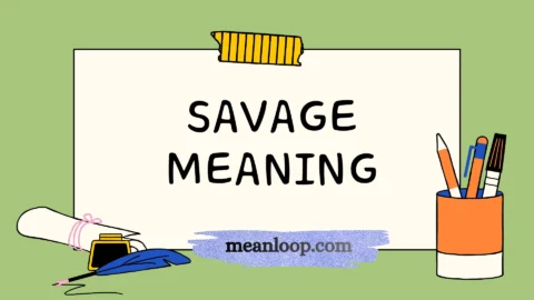 savage meaning