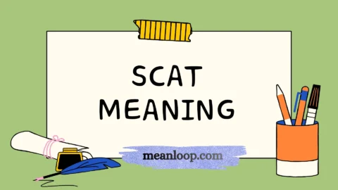 scat meaning