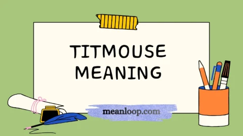titmouse meaning