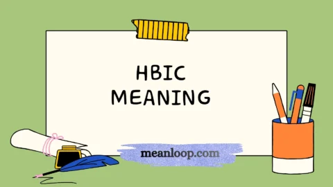 hbic meaning