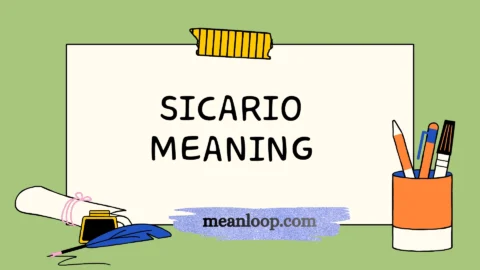 sicario meaning