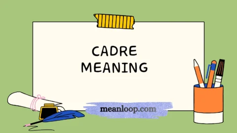 cadre meaning
