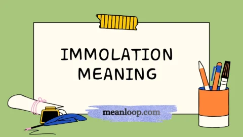 immolation meaning