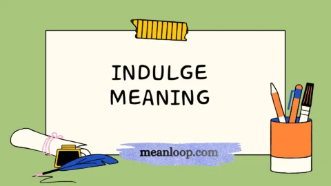 indulge meaning