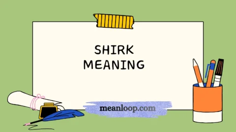 shirk meaning