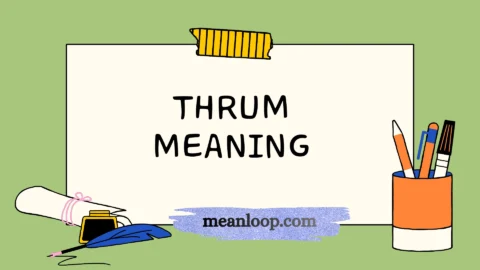 thrum meaning