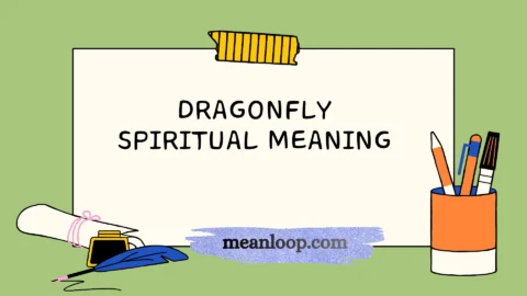 dragonfly spiritual meaning