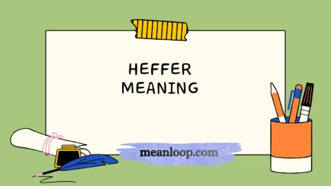 heffer meaning