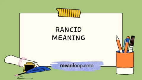 rancid meaning