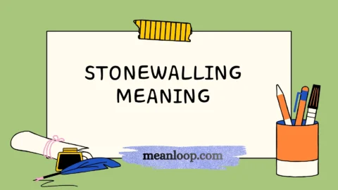 stonewalling meaning