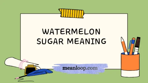 watermelon sugar meaning