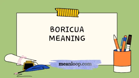 boricua meaning