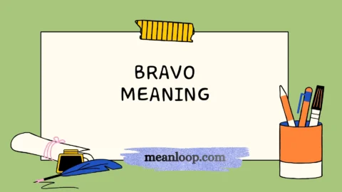 bravo meaning