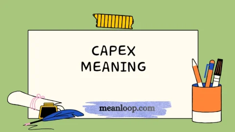 capex meaning