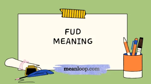fud meaning