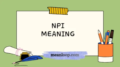 npi meaning