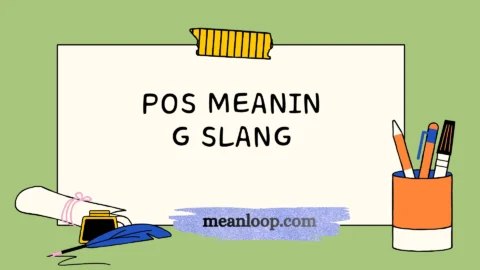 pos meaning slang