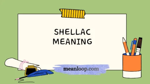 shellac meaning