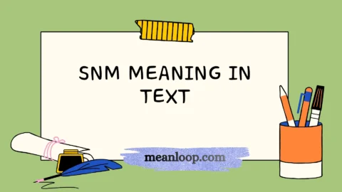 snm meaning